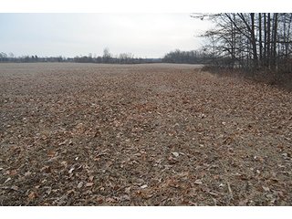 Property photo 7 - LAND AUCTION, 77 Acres offered in 3 Tracts